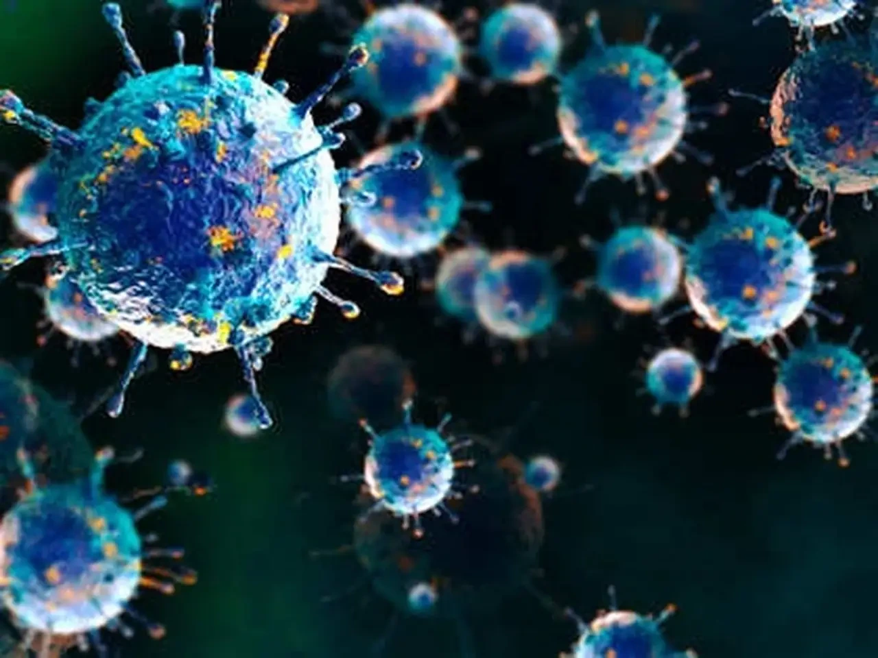El ECDC vigila la situación tras la muerte en Francia de un hombre con el virus shamonda