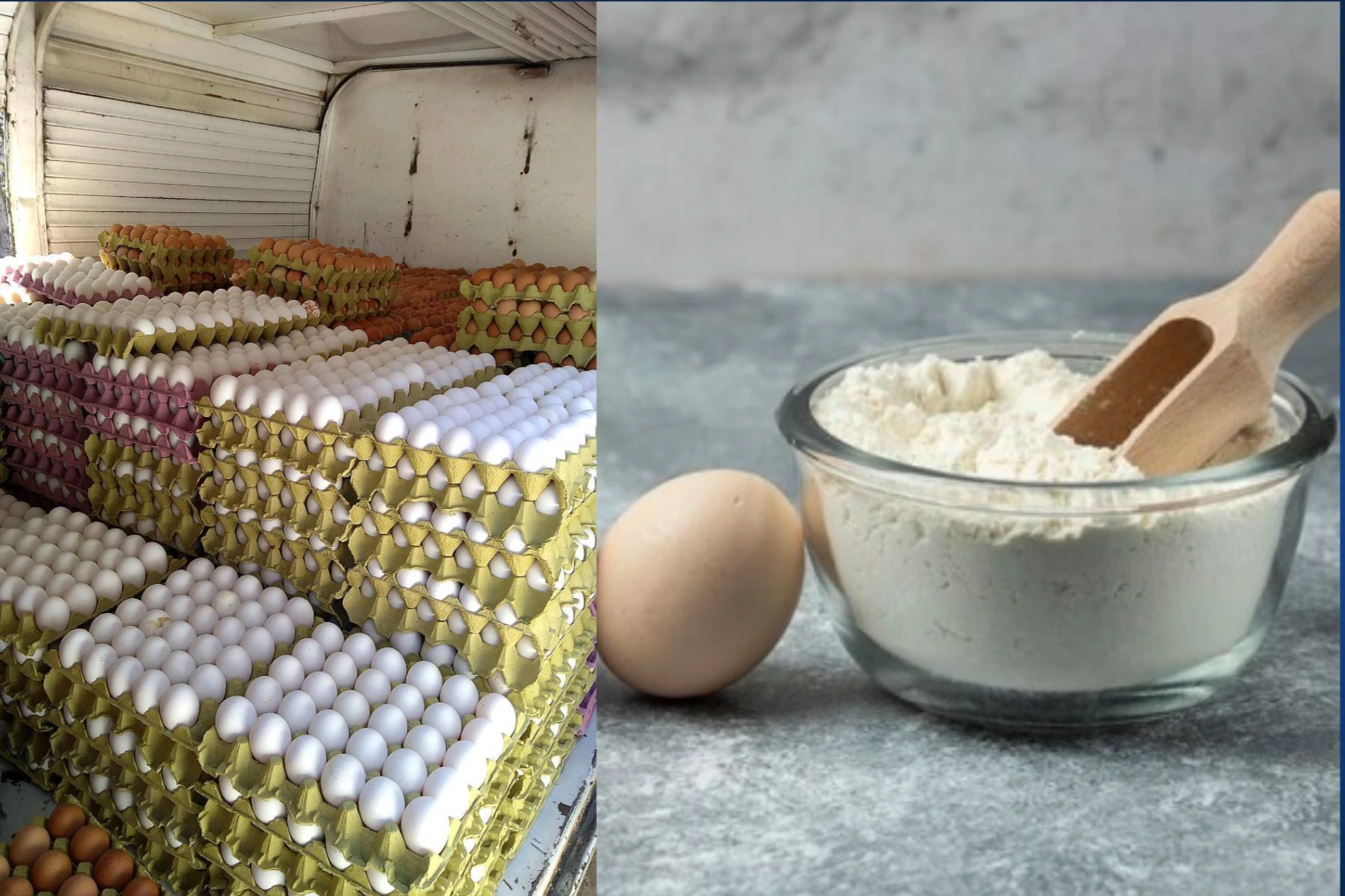 Alianza avícola estratégica: Córdoba exportará huevo en polvo al mercado asiático