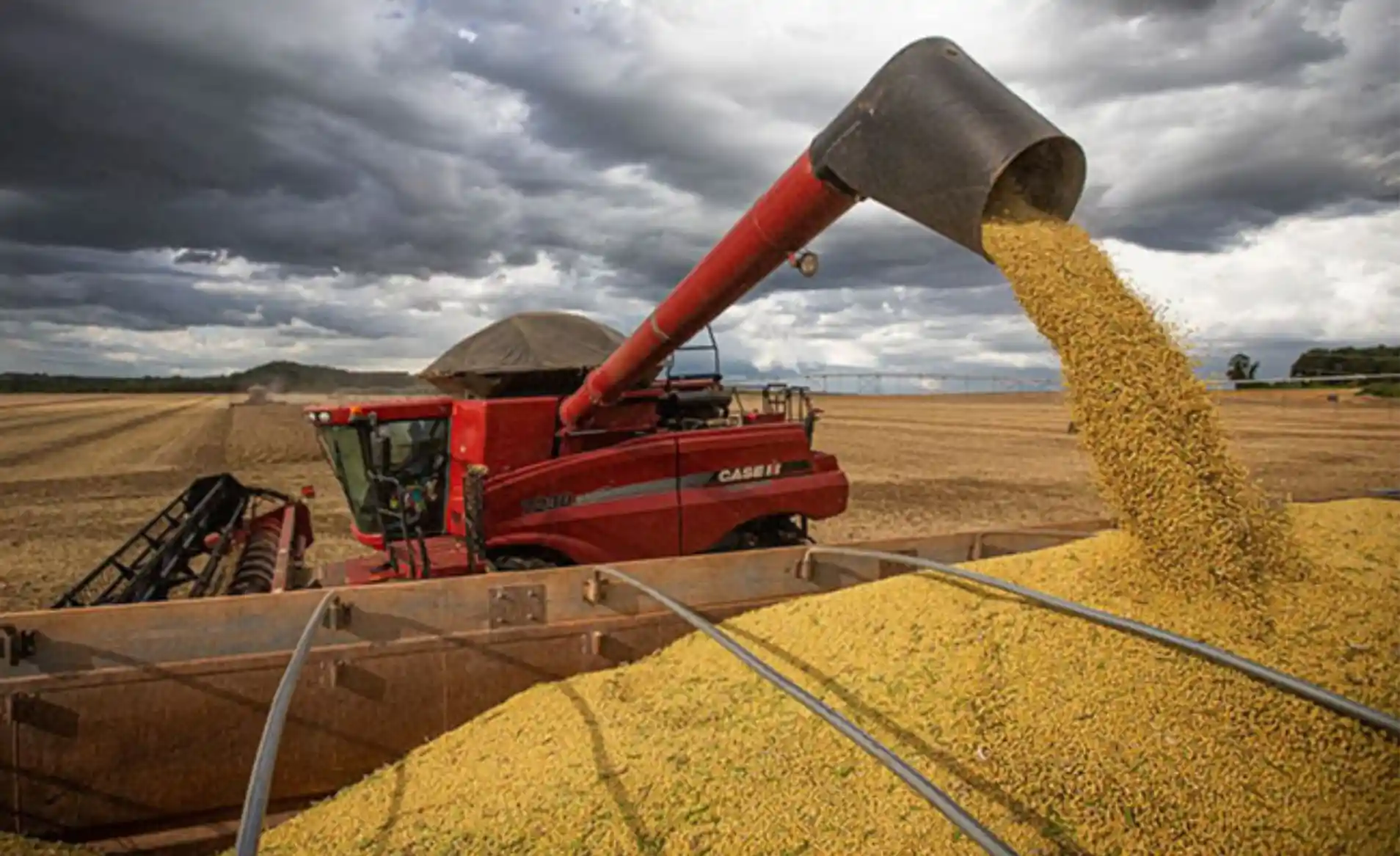 La campaña agrícola 2025/2026 consolidó una recuperación histórica que oxigena las reservas y devuelve la previsibilidad al sector privado.