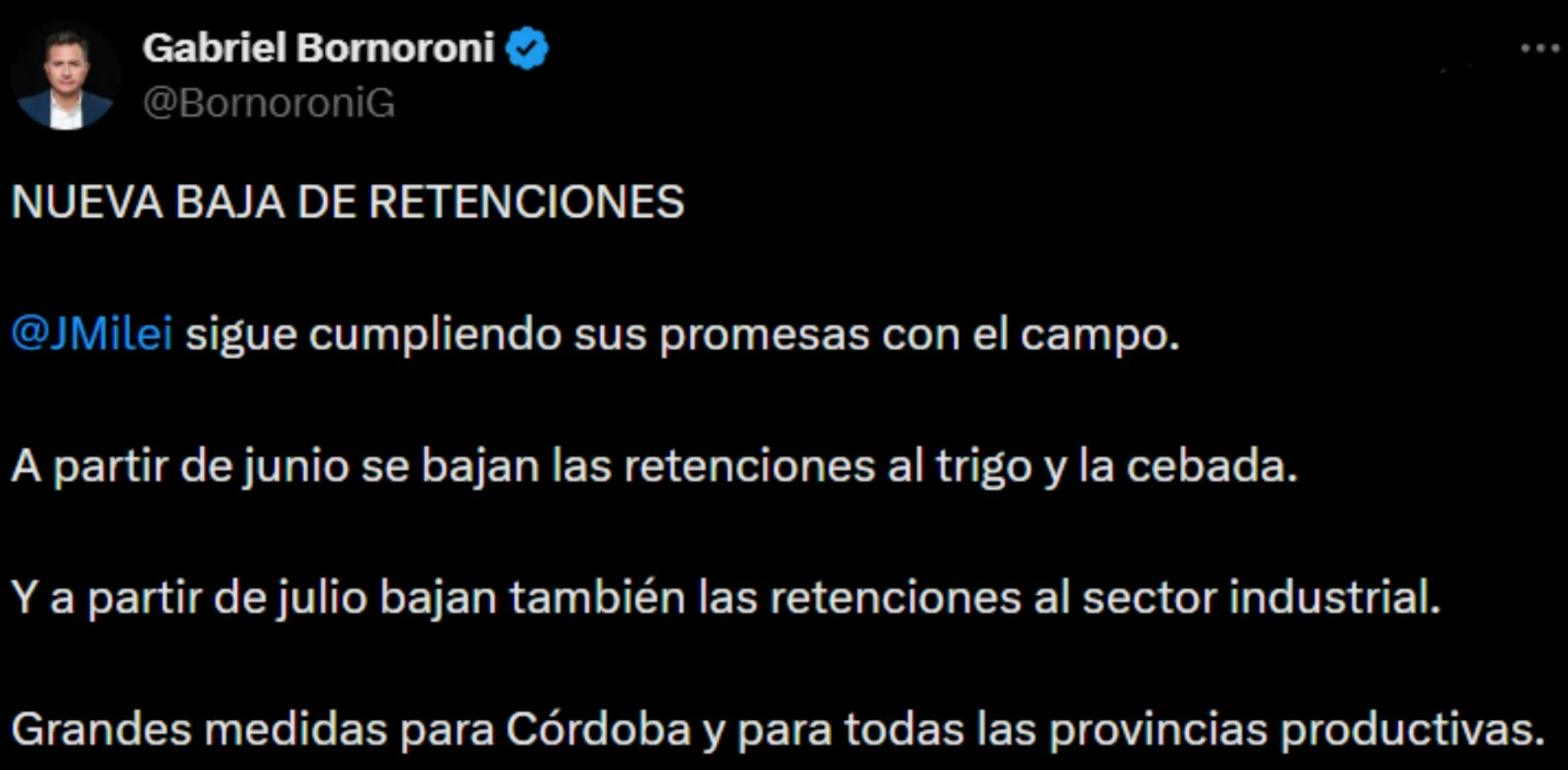 El Diputado cordobés Gabriel Bornoroni respaldó la decisión del Poder Ejecutivo