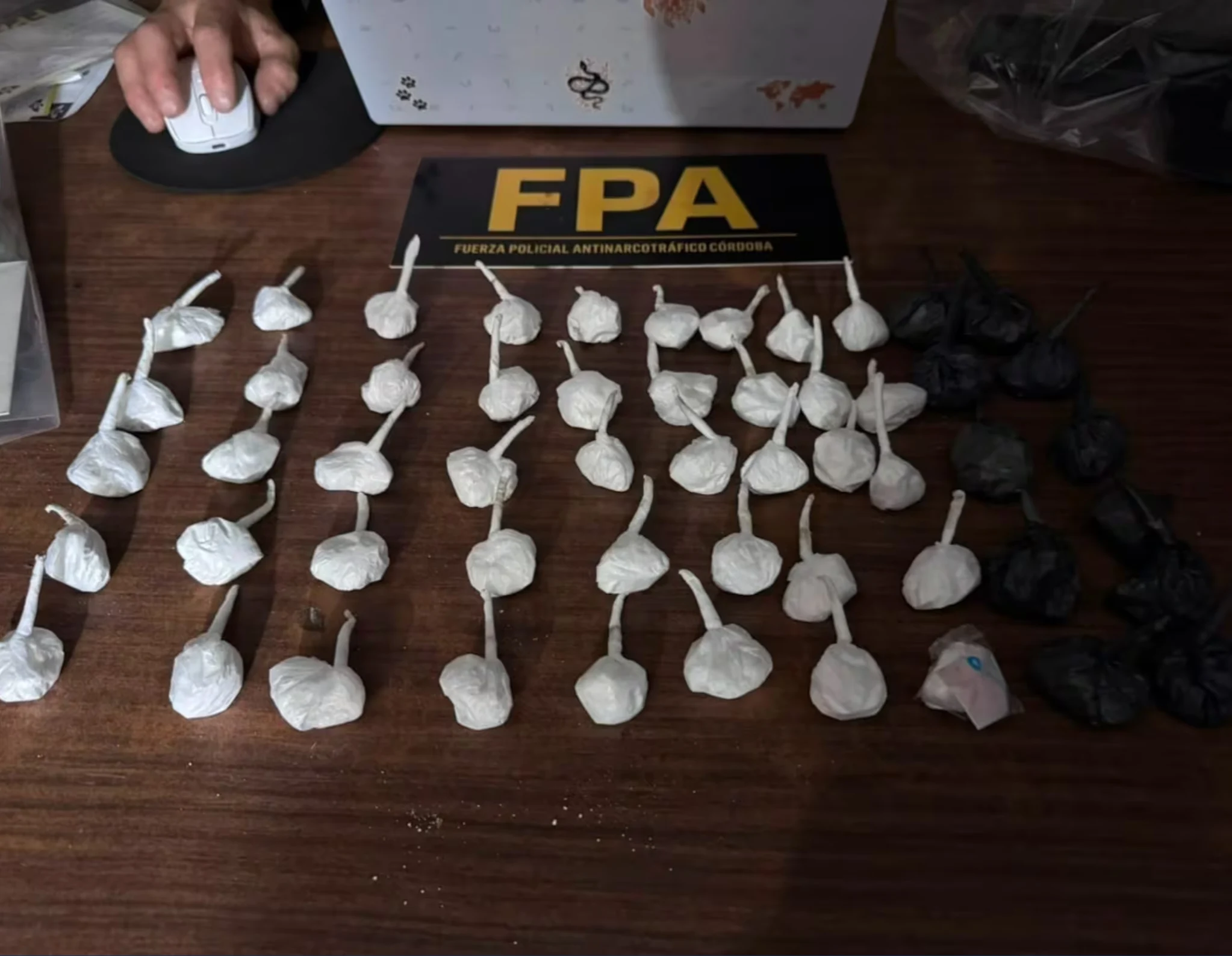 Con apoyo de canes detectores, los investigadores secuestraron 1.952 dosis de cocaína, 79 de marihuana y 18 plantas de cannabis sativa. 