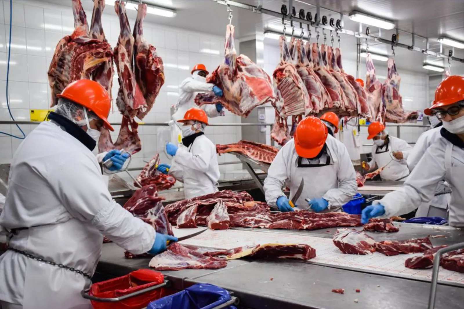 Las exportaciones de carne crecieron 10% y Córdoba es una de las provincias que más aporta