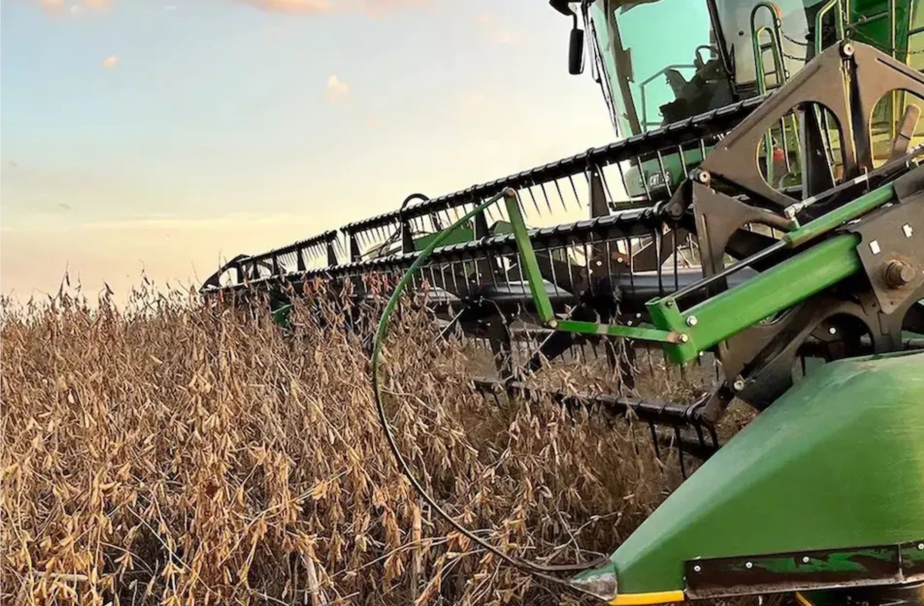 El aporte del trigo resultó determinante para las cifras provinciales al registrar un crecimiento productivo del 126% respecto al año anterior. 