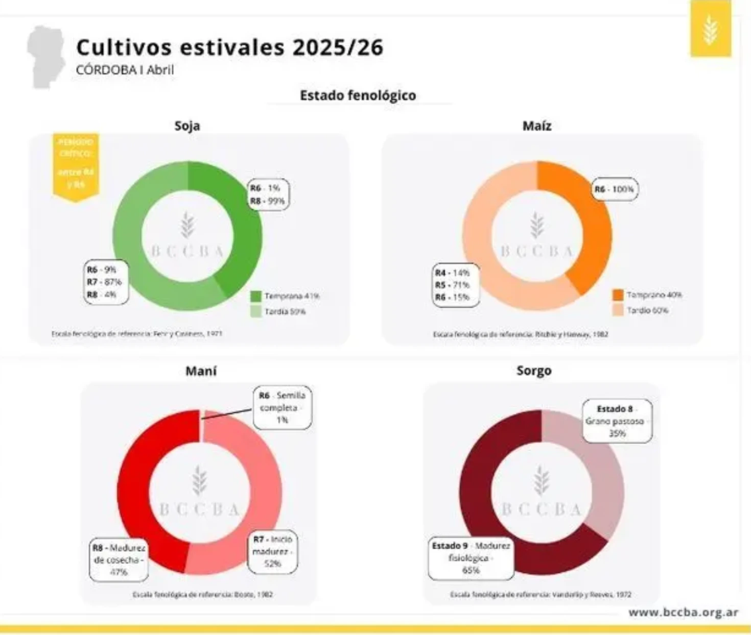 El informe técnico asegura que los cultivos superaron con éxito los periodos críticos de humedad registrados durante el primer trimestre del año comercial.