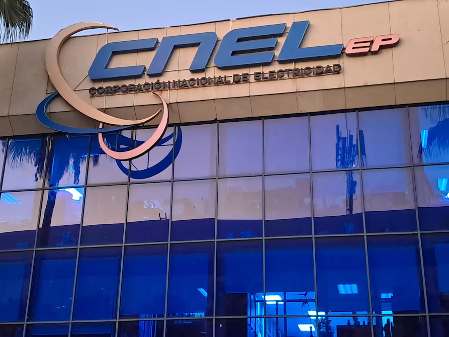 Public company responsible for the distribution and commercialization of electrical energy