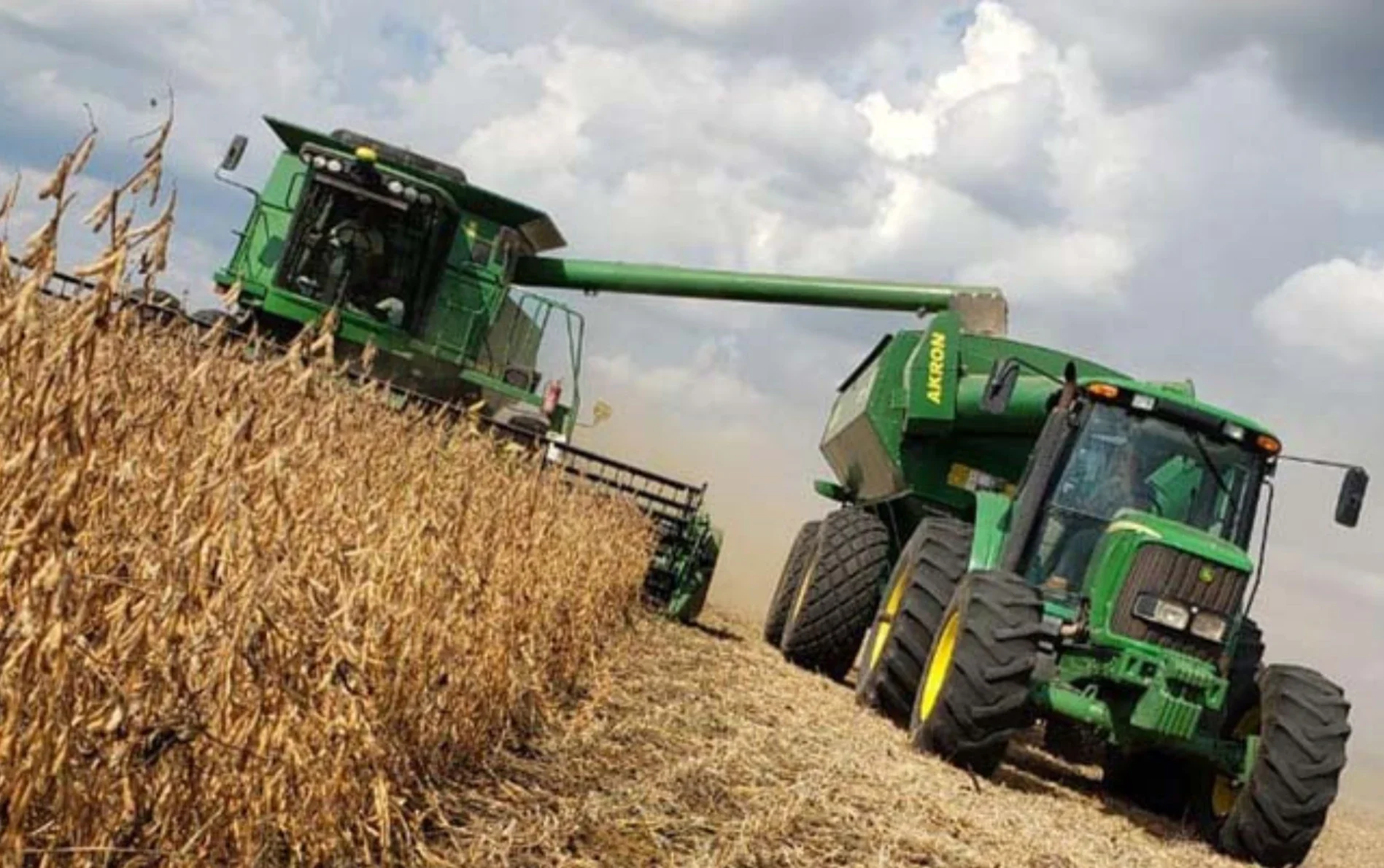 La campaña agrícola 2025/2026 se perfila como la mejor de la historia para Córdoba