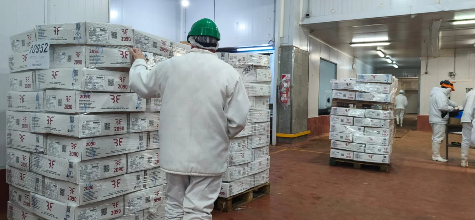 Entre enero y agosto de 2026, las ventas externas de carne bovina refrigerada y congelada totalizaron 476.725 toneladas peso producto y generaron ingresos por US$3.290,8 millones.