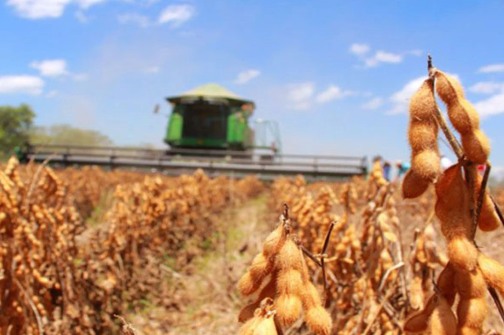 El campo cordobés no para: proyectan la segunda mayor producción de la historia con una inyección de US$ 11.680 millones