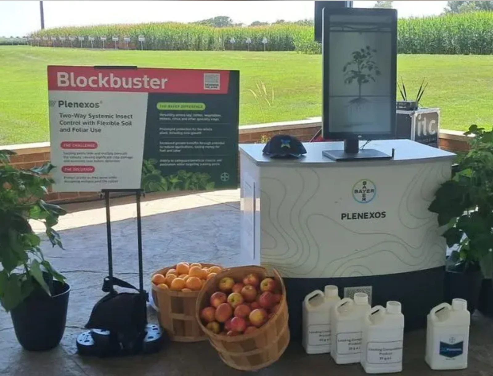 La tecnología Preceon, el sistema de precisión para maíz que integra híbridos de baja estatura desarrollado por Bayer.