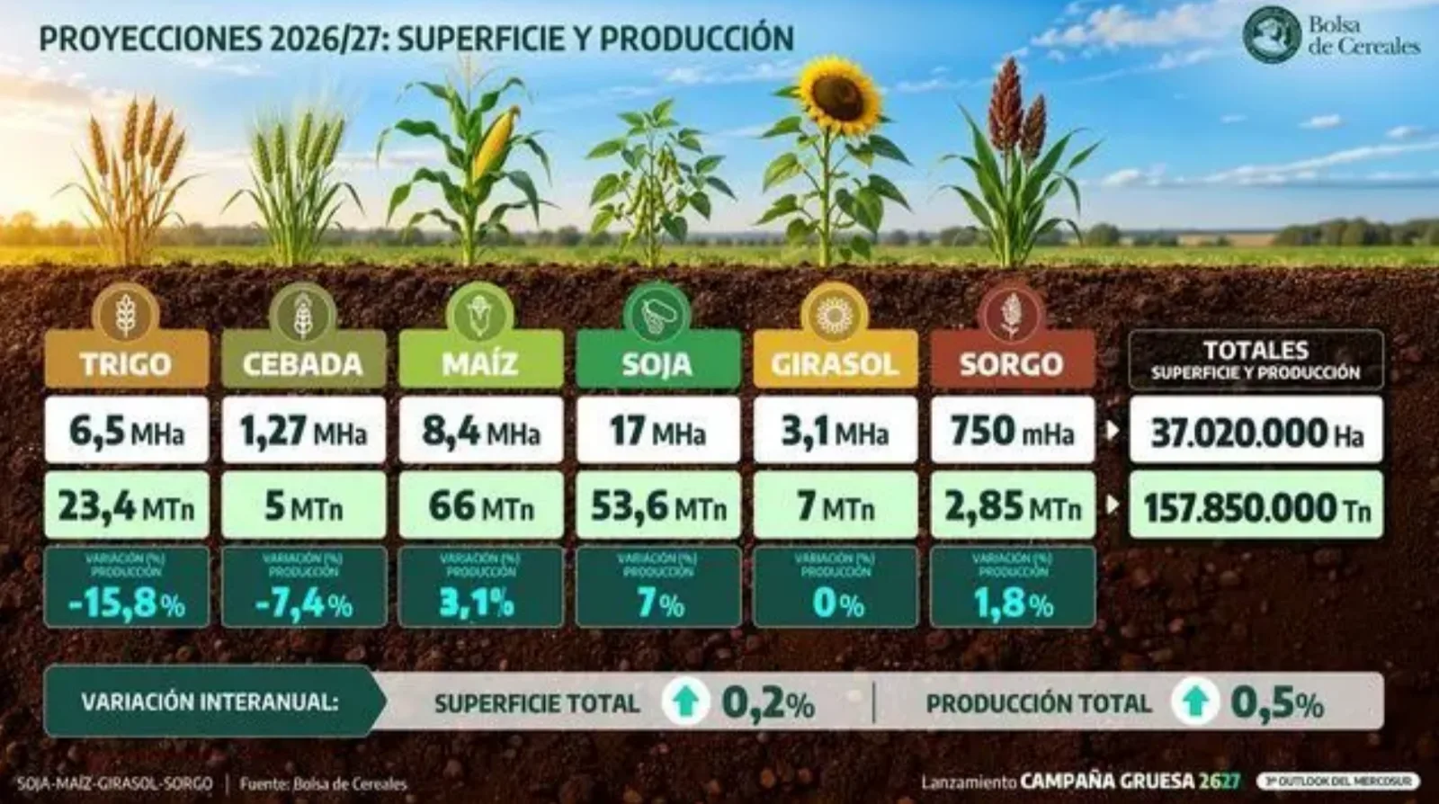 El maíz es, en ese contexto, el gran protagonista de la campaña cordobesa: la combinación de una mayor superficie sembrada y buenos rendimientos permitiría alcanzar una producción récord