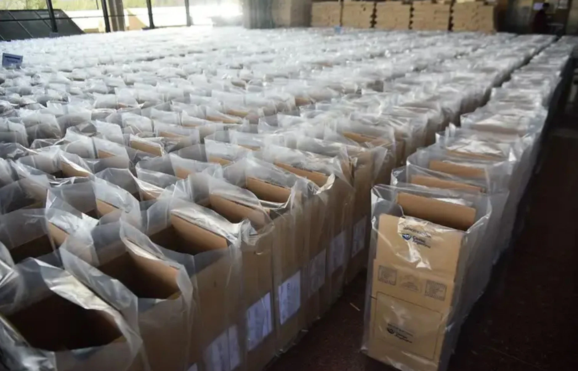 La Cámara Nacional Electoral consolidó el respeto por las normas internas del PRO al convalidar de forma definitiva la legitimidad de la conducción en el distrito.