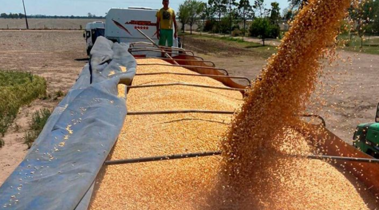 Las exportaciones proyectadas por la consultora Abeceb alcanzarán un techo de US$ 94.400 millones