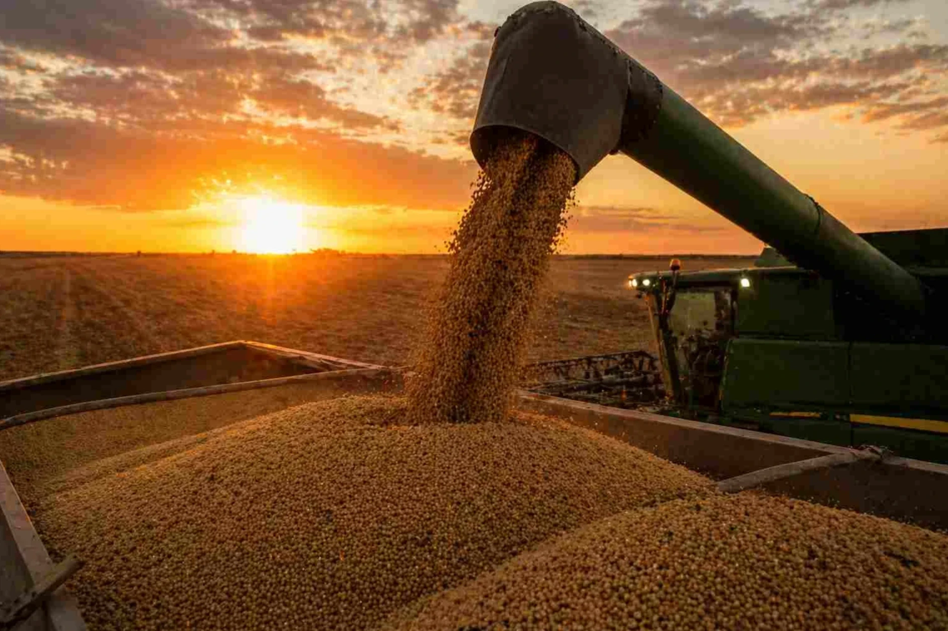 Récord productivo: Córdoba superará las 41 millones de toneladas de granos en 2026