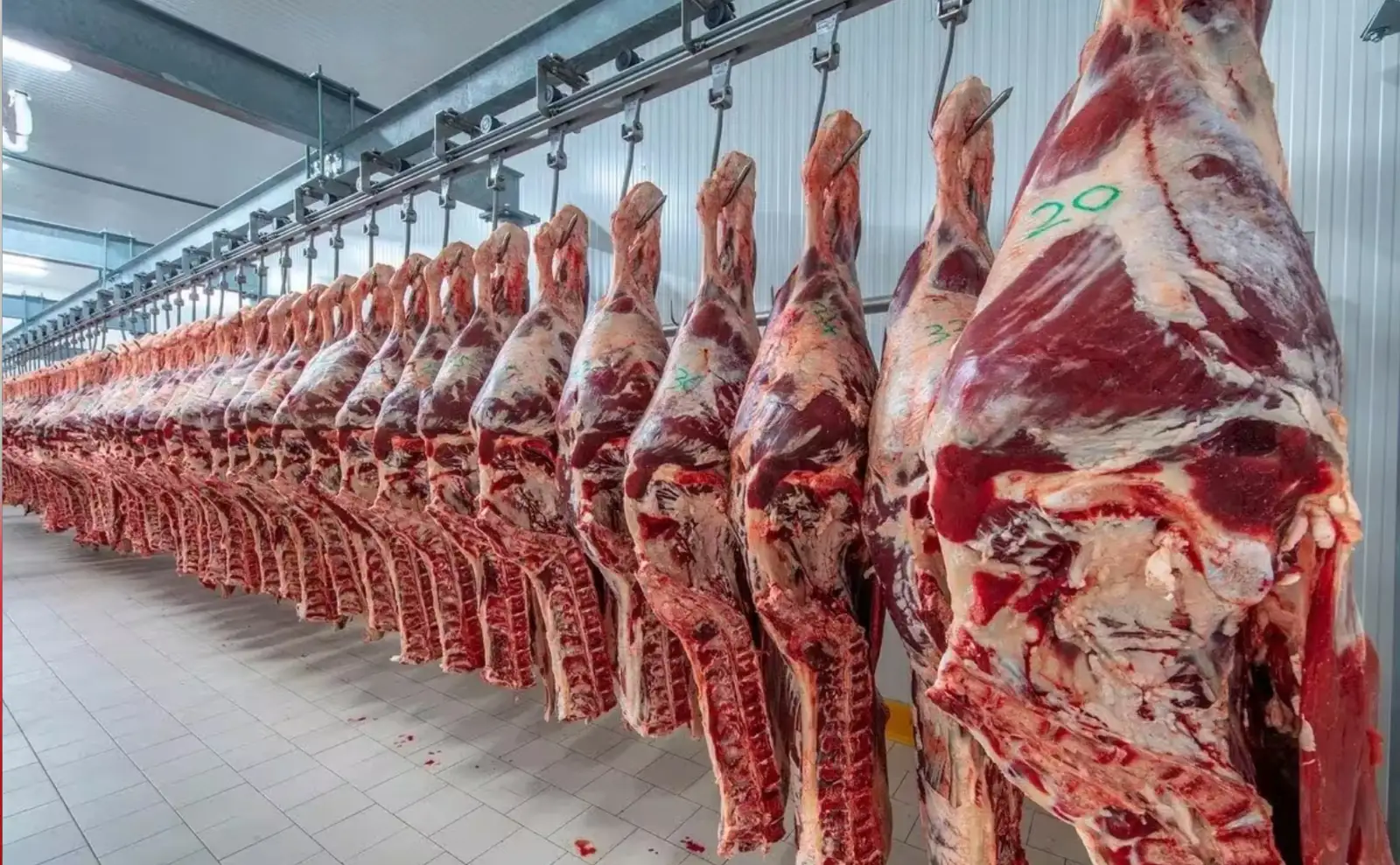 Solo en junio, las ventas externas sumaron 78.990 toneladas, un incremento interanual del 5,7% que confirmó la evolución positiva del comercio exterior cárnico