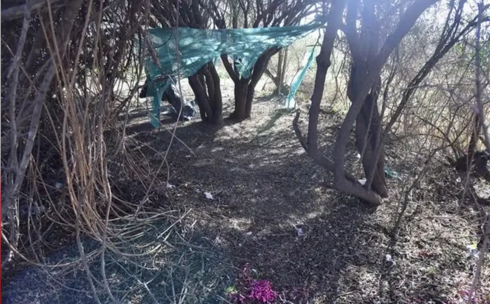 Fotos de las chozas en un terreno próximo a la propiedad del exlegislador Flores.