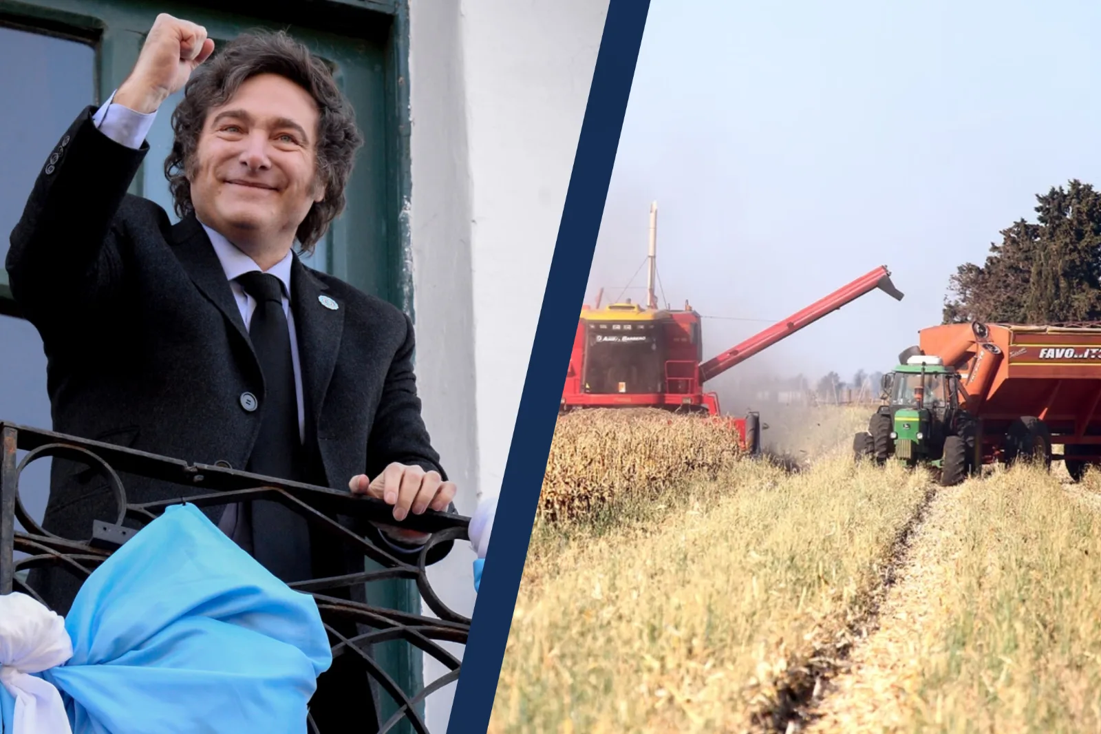La mayor cosecha en 60 años: Córdoba produjo casi tres veces más maíz que Francia