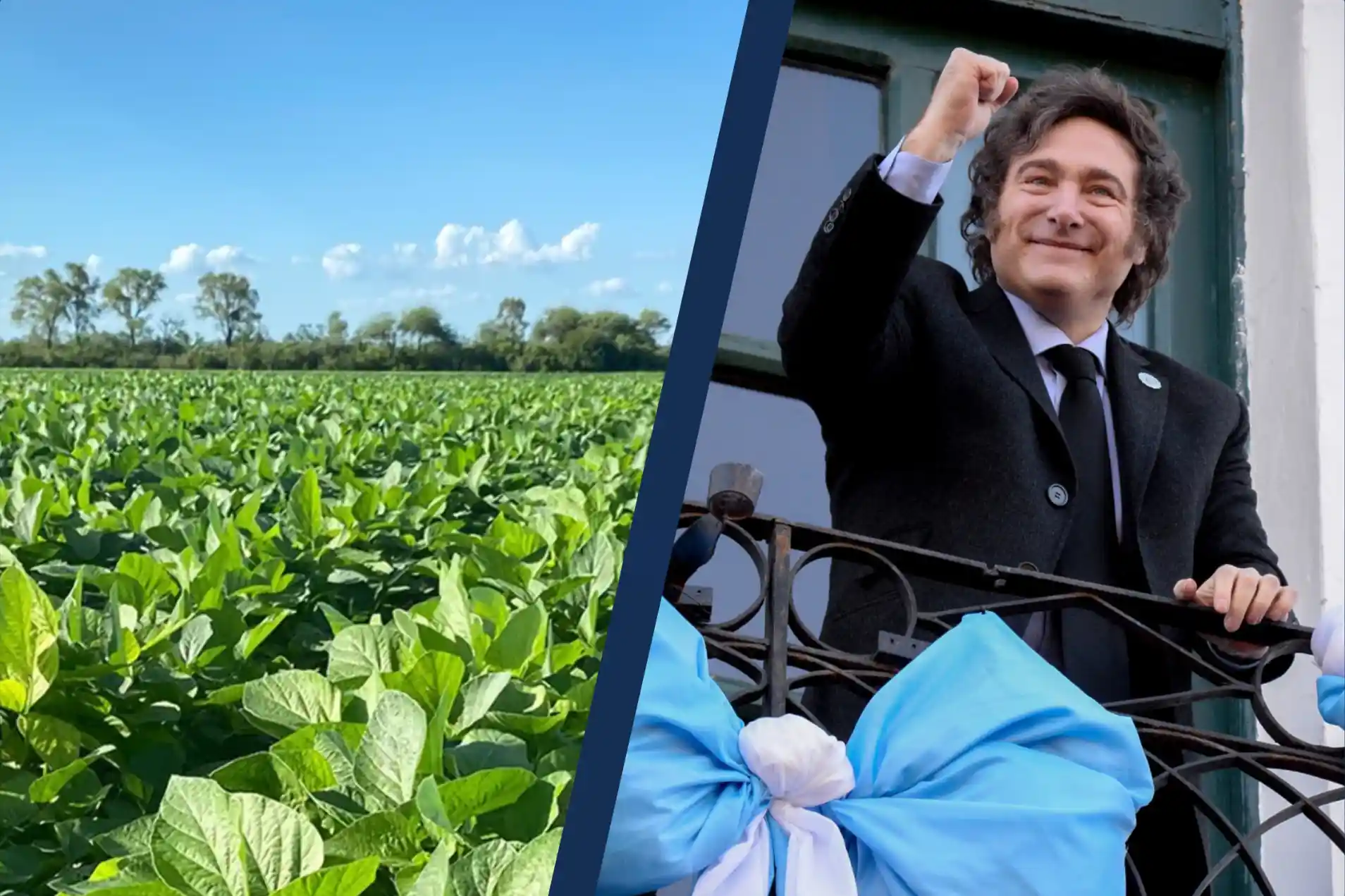 La cosecha de soja rozó las 50 millones de toneladas y el campo cordobés vuelve a motorizar la economía