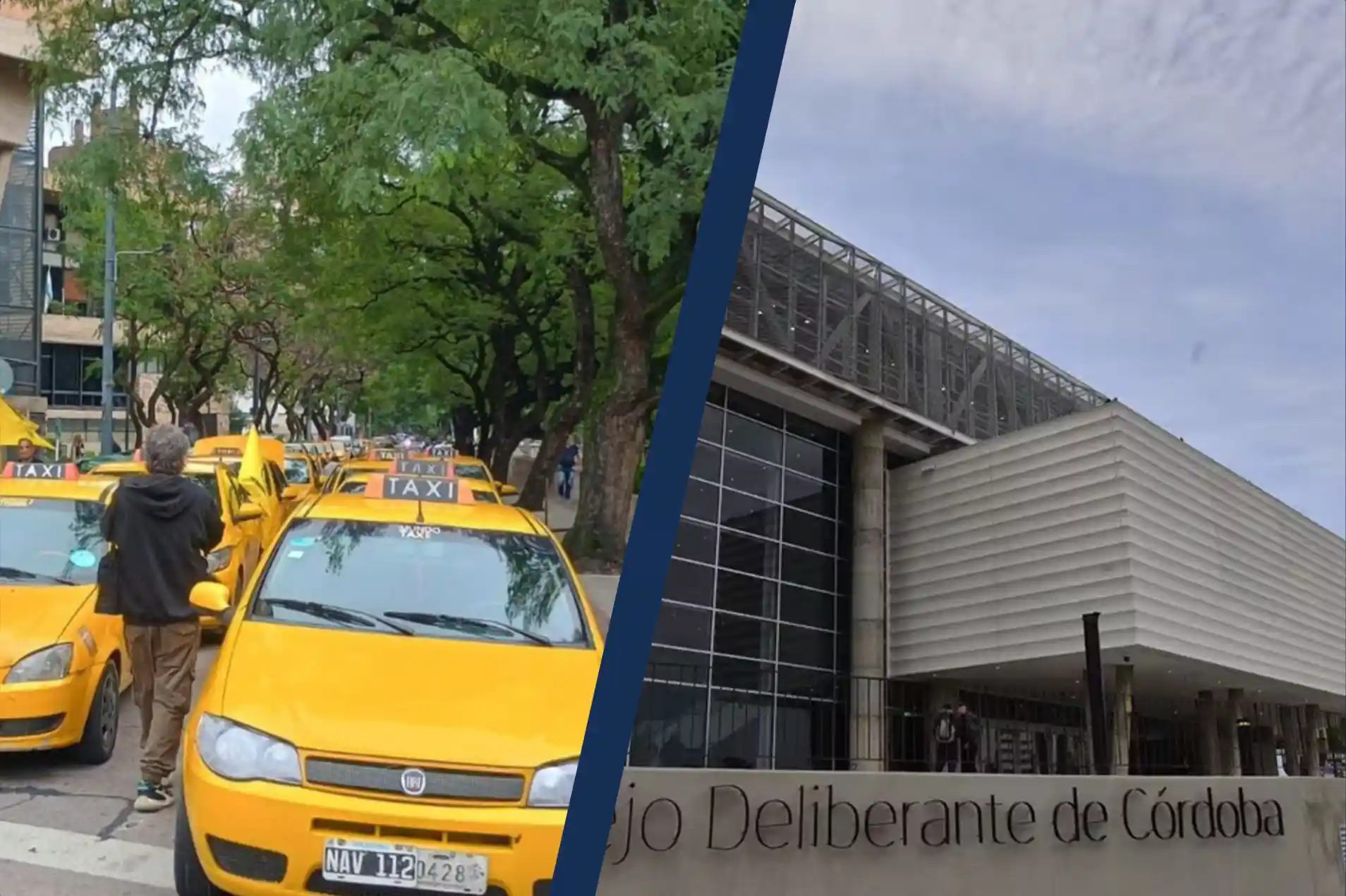 Taxis y remises en Córdoba: el mercado le empieza a ganar terreno a la burocracia municipal