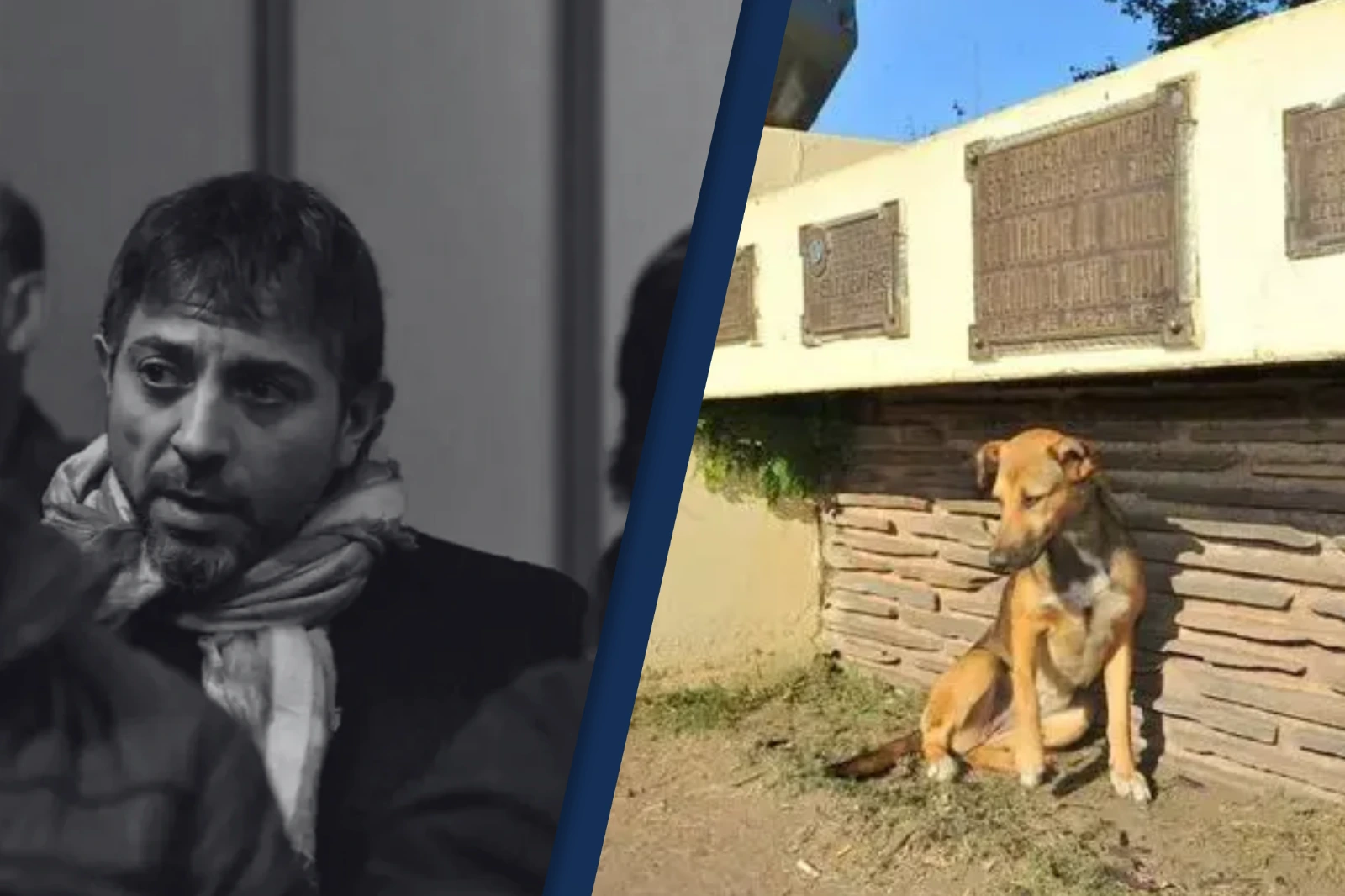 Horror kirchnerista en Deán Funes: confirmaron la condena al exintendente que envenenó a 211 perros