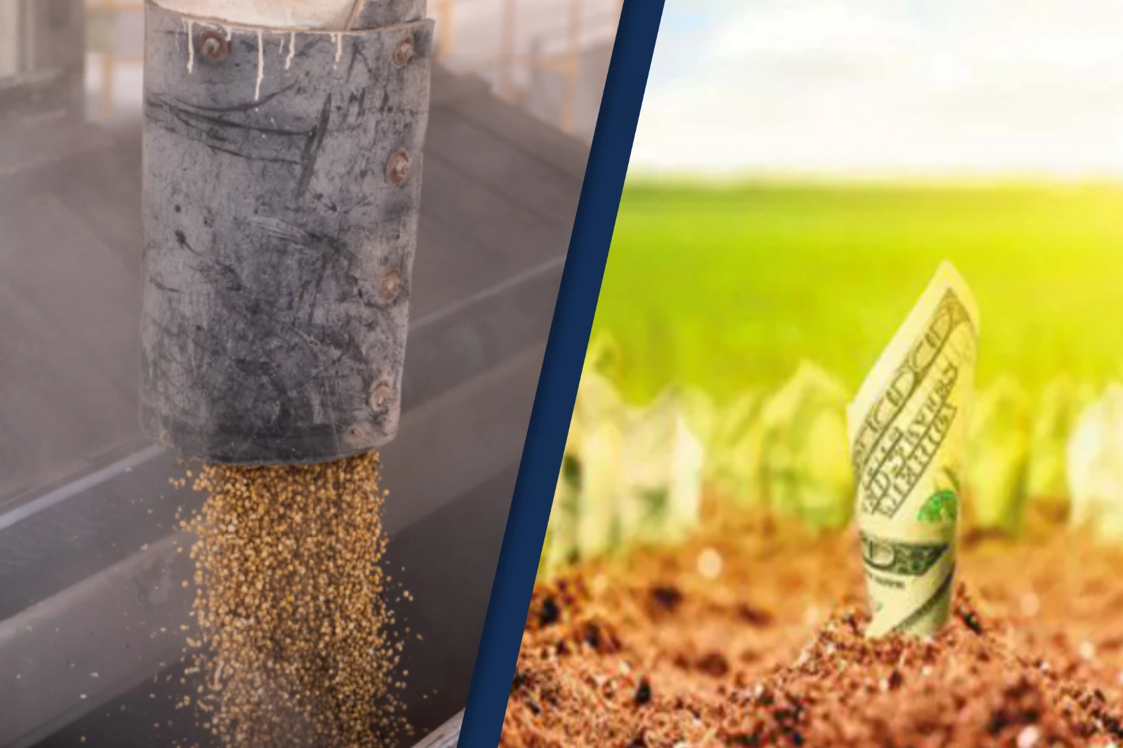 Siembra récord: el agro invirtió casi US$ 14.700 millones con el maíz al frente, un cultivo clave para Córdoba