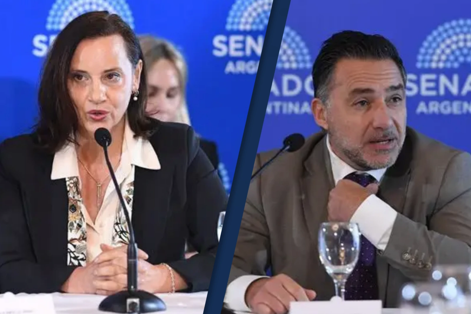 El Senado aprobó los pliegos de los camaristas cordobeses Cortés Olmedo y Mancini