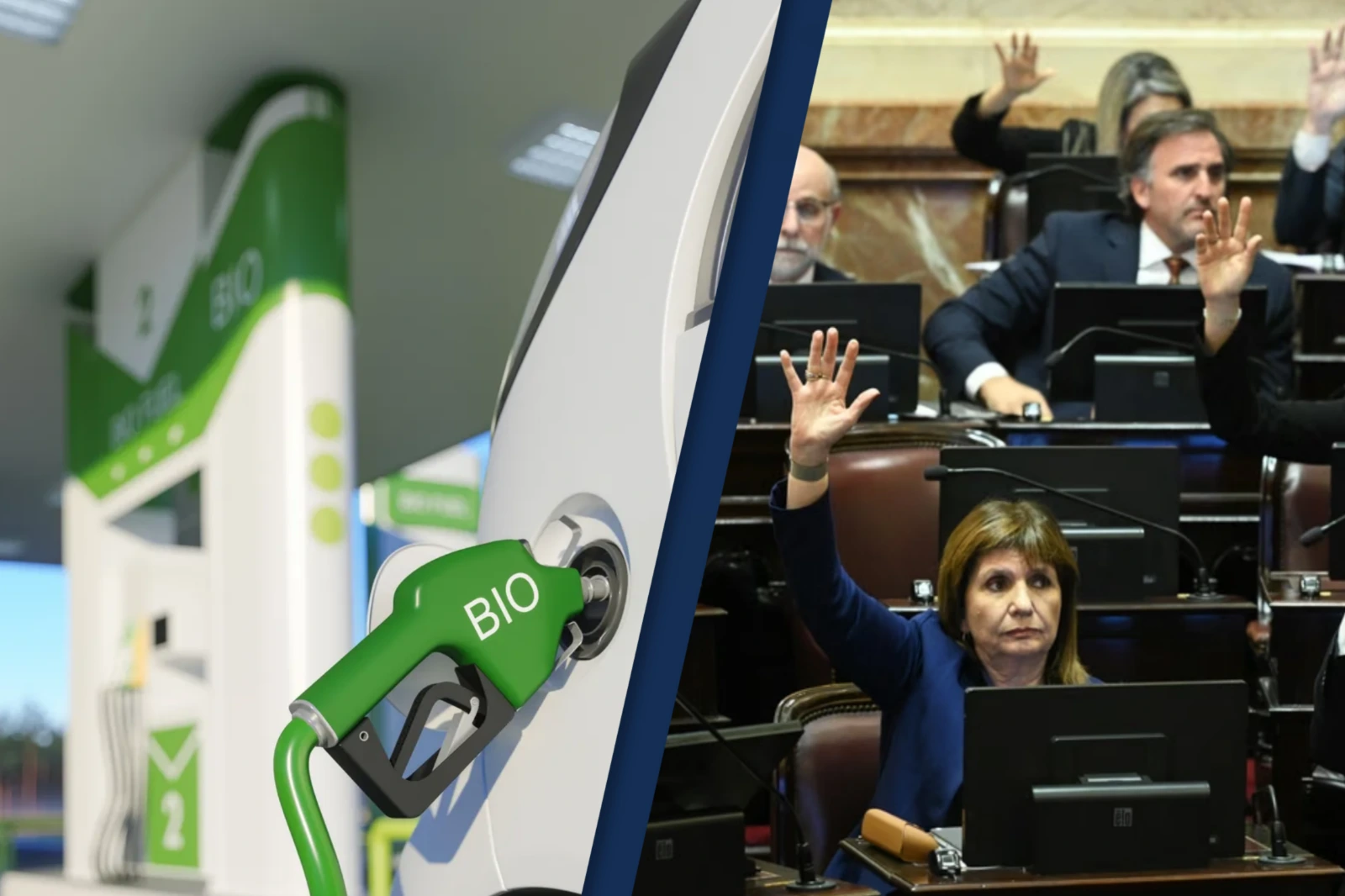 El Senado le dio media sanción a la Ley de Biocombustibles, una industria clave para Córdoba