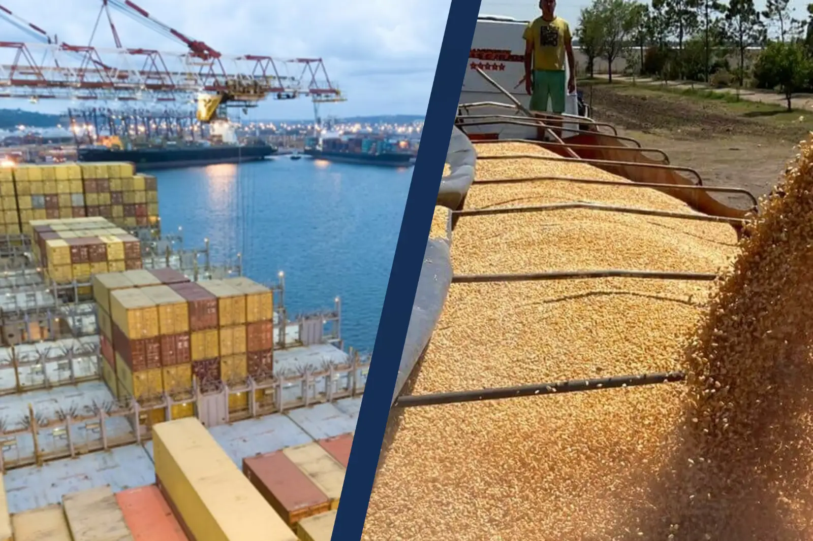 Córdoba es la tercera provincia exportadora del país con US$ 8.919 millones