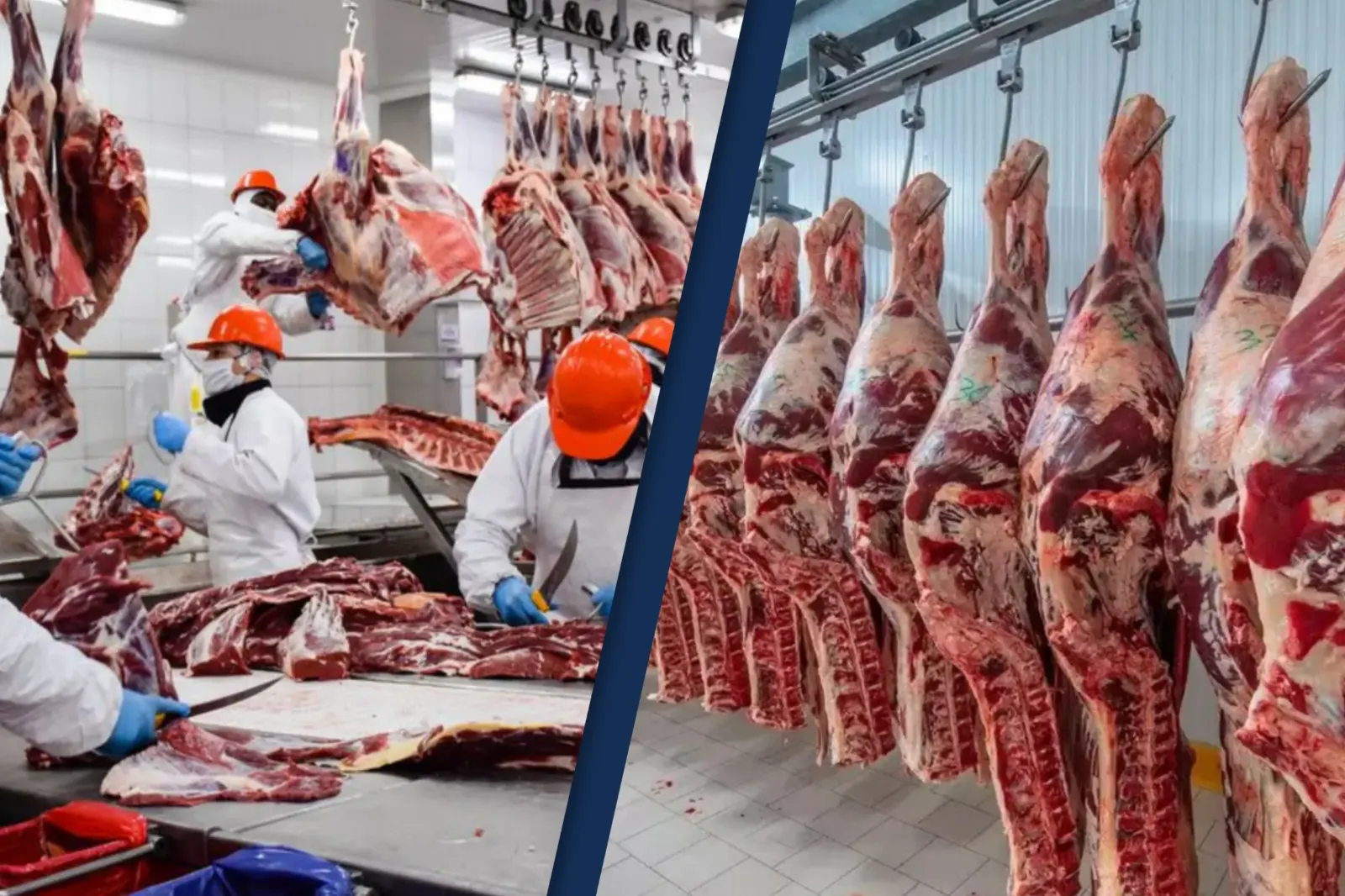 Exportaciones de carne: Córdoba, entre las provincias que explican el incremento del 40%