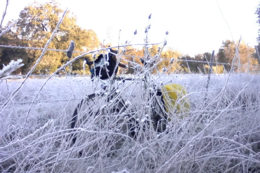 Ola polar: cómo está el clima en el inicio de las vacaciones de invierno en Córdoba