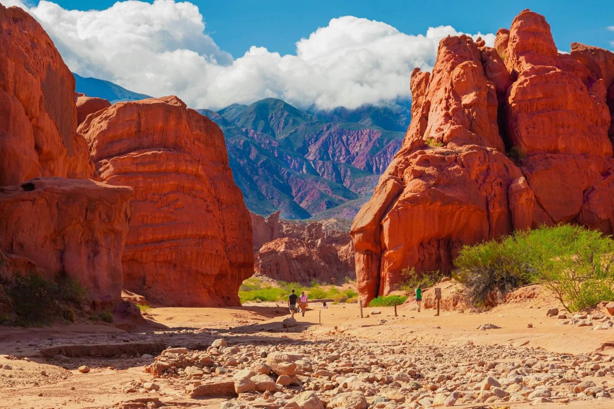 Alta, Mendoza, and San Juan recorded a significant tourist influx due to automotive competitions.