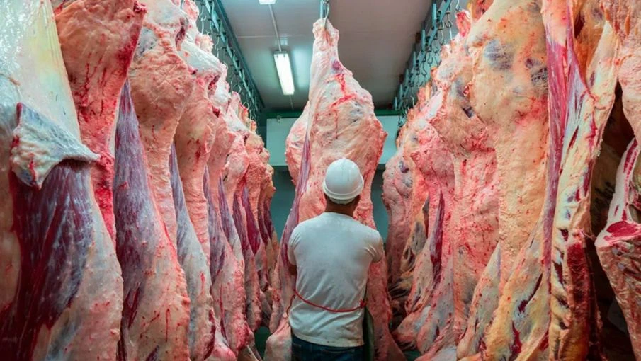 Carne argentina.