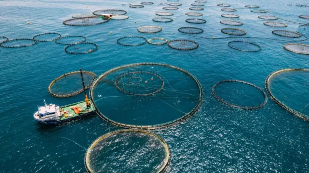 Aquaculture
