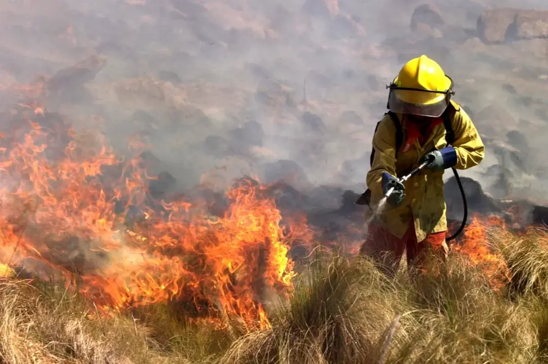 Calor, viento y sequía: advierten por el alto riesgo de incendios en Córdoba