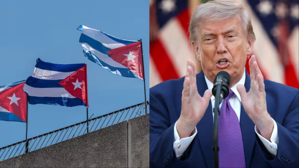 Trump goes all in: 