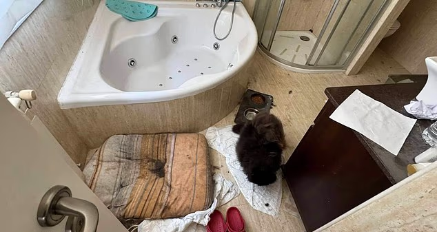 The deplorable conditions of the family's bathroom