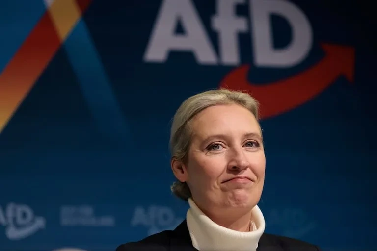 Alice Weidel, leader of AfD