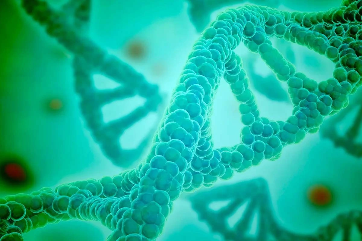 Claude identified a previously unknown biological system in the DNA of bacteriophages