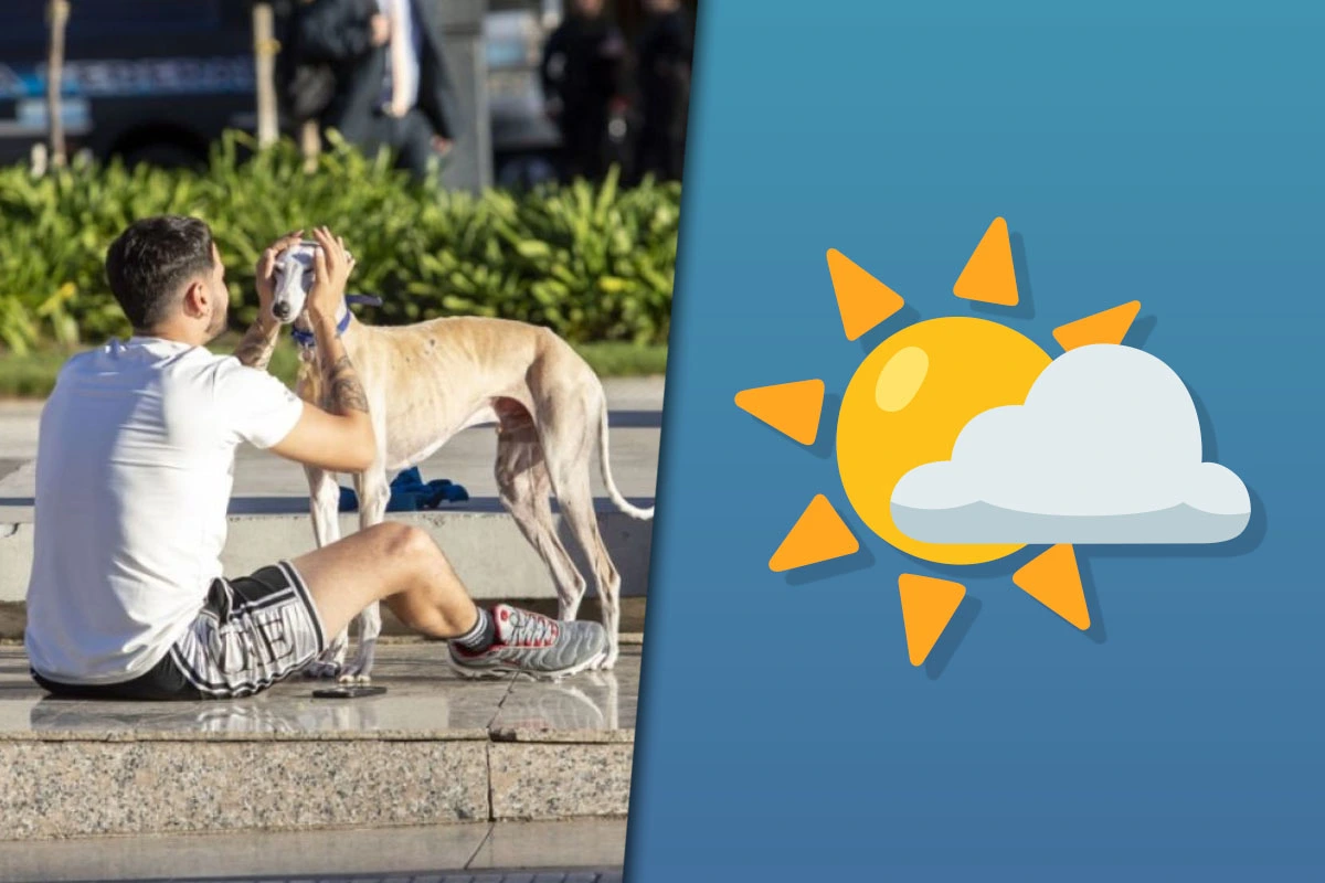 Clima en el AMBA: qué día de la semana llega a 21 grados según el SMN