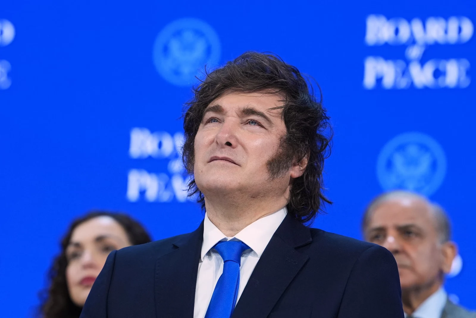 President Javier Milei