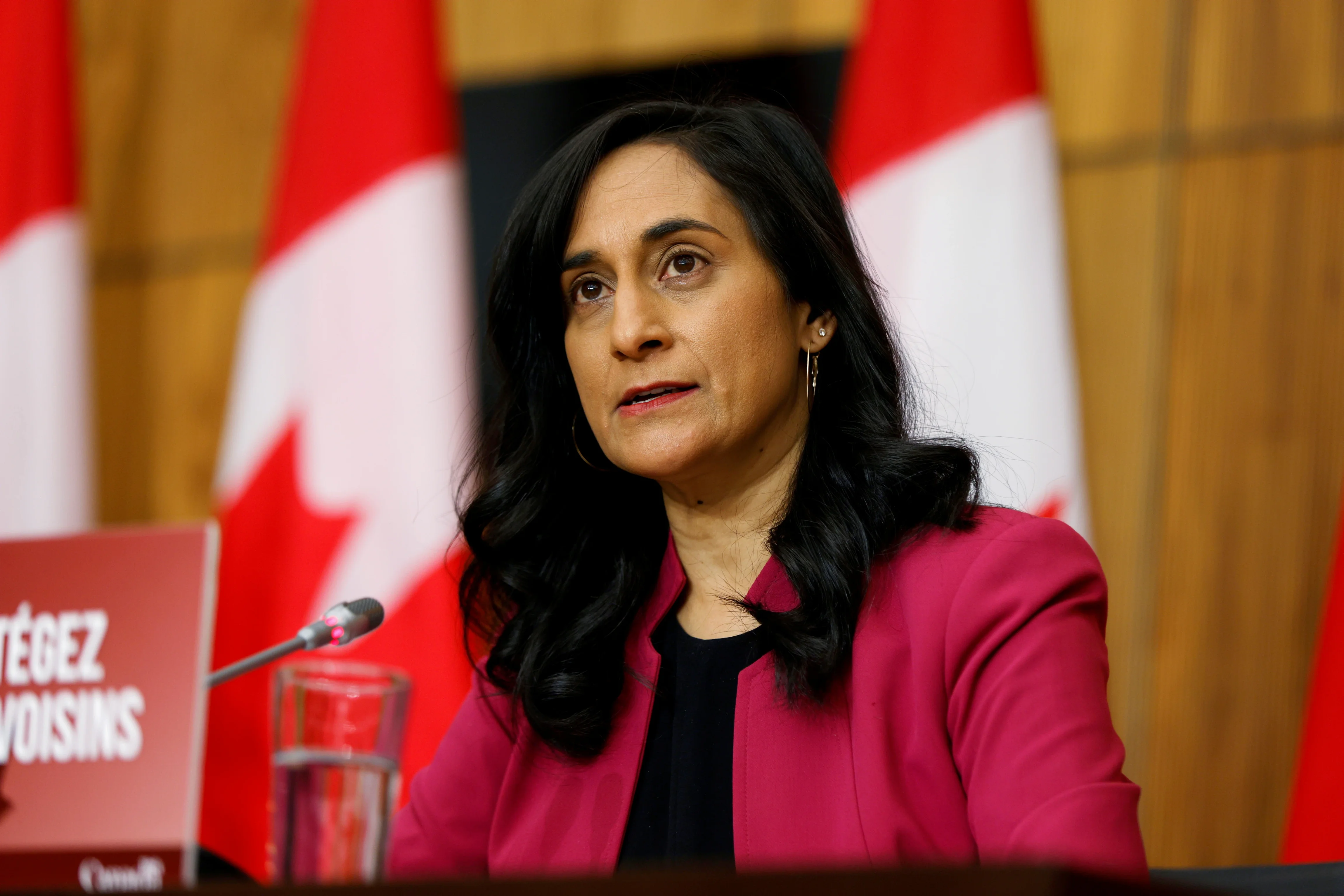 The Minister of Foreign Affairs of Carney's socialist government assured that they will seek to increase exports to China by 50% by 2030.