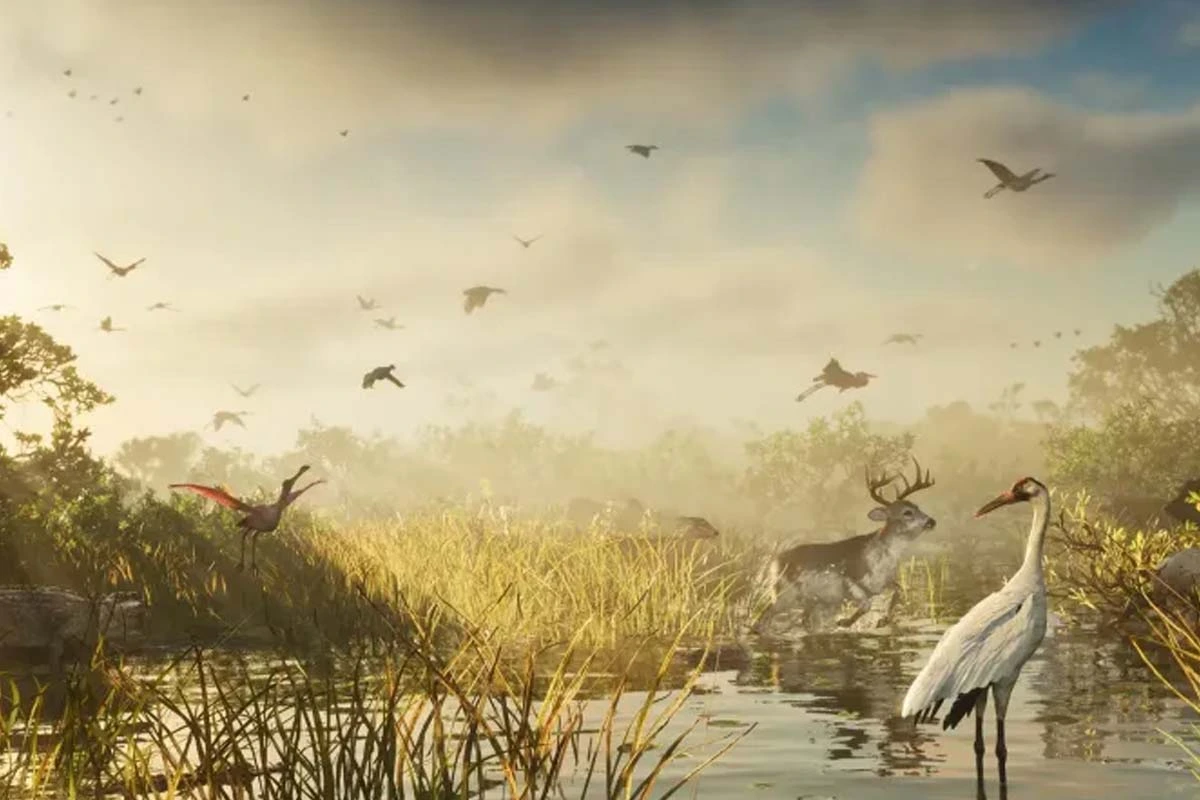 Rockstar explained that it sought to represent the diversity of Florida's wildlife