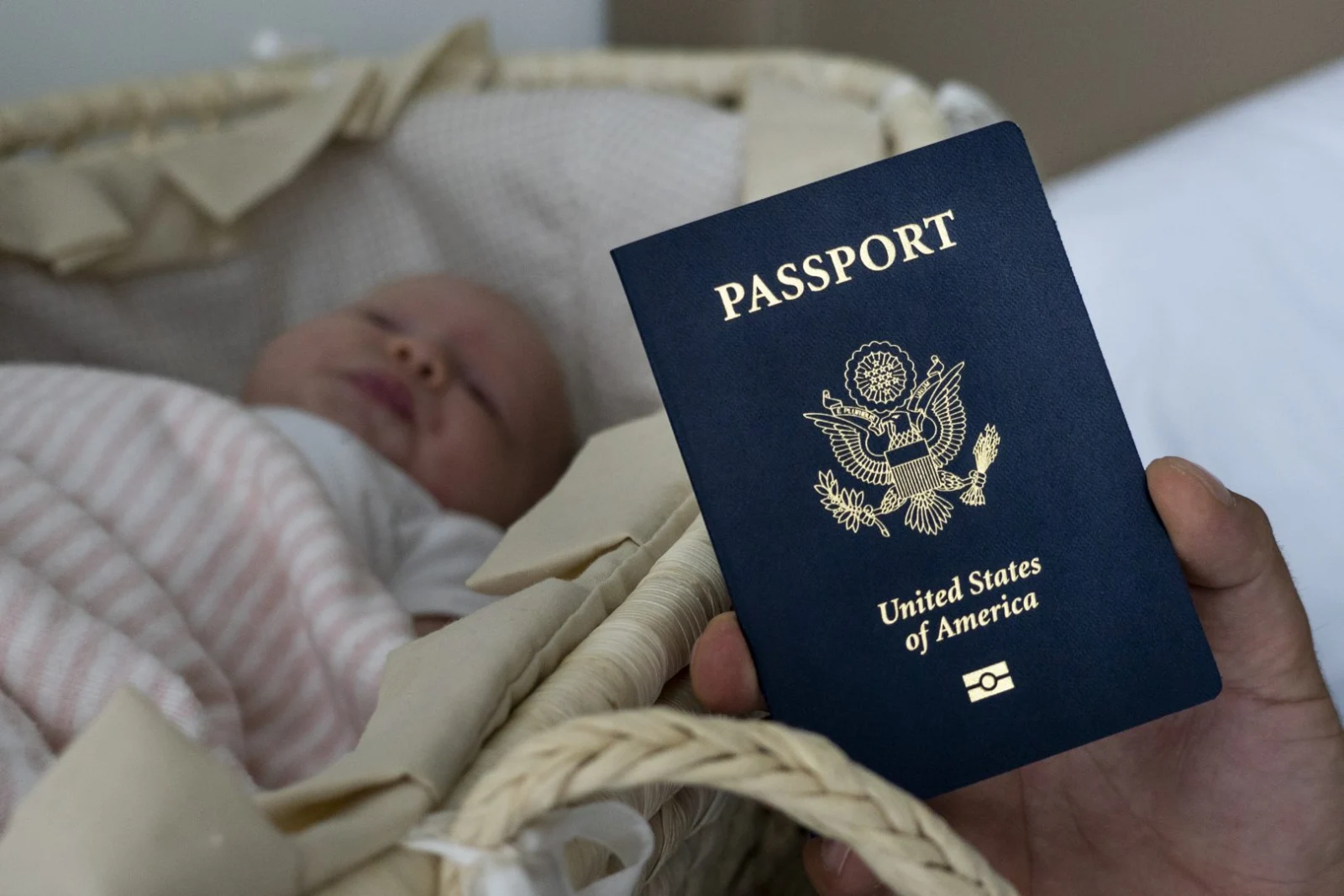 Le grupo de trabajo creado por Trump busca detener a organizaciones que buscan abusarse del sistema migratorio estadounidense