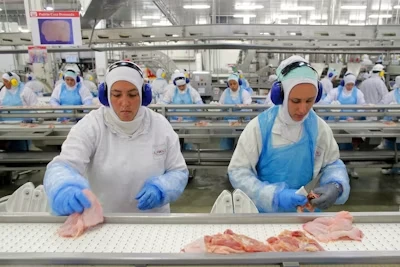El Departamento de Trabajo de Estados Unidos identificó un foco de trabajo forzado en la importación de carne congelada de Brasil