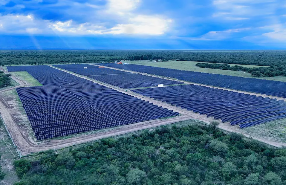 La planta cuenta con un equipamiento de 20.500 paneles solares bifaciales de alta eficiencia operativa