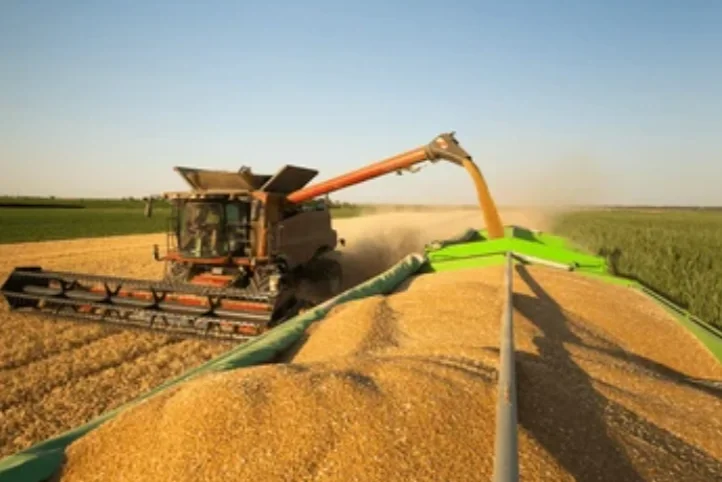 La provincia de Córdoba alcanzará un récord histórico en su producción agrícola