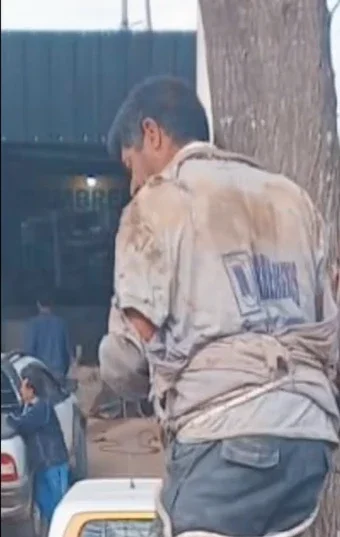 El delincuente atado a un árbol