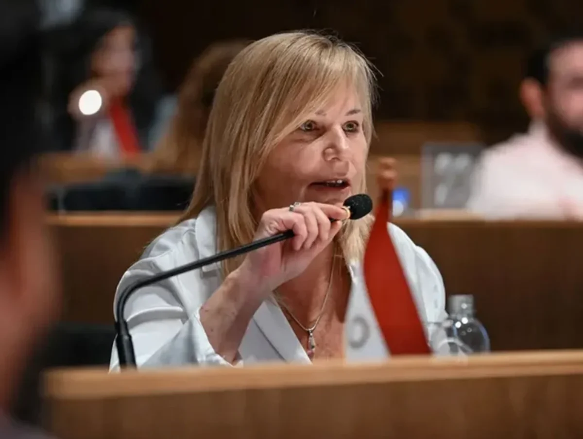 Elisa Caffaratti, titular del bloque de la UCR en el Concejo Deliberante de Córdoba