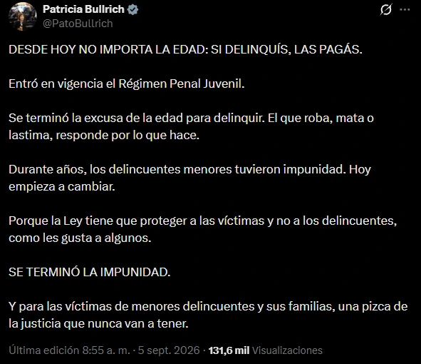 Patricia Bullrich celebró la puesta en vigencia del régimen.