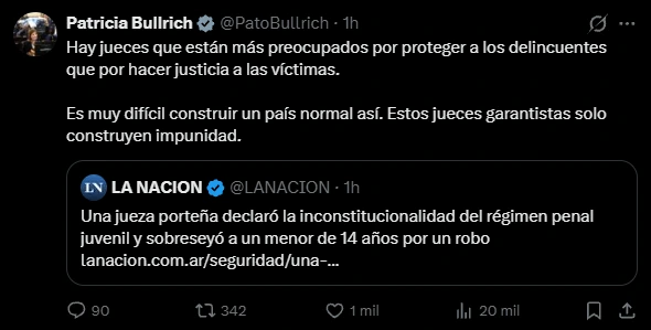 La senadora Patricia Bullrich se pronunció al respecto.