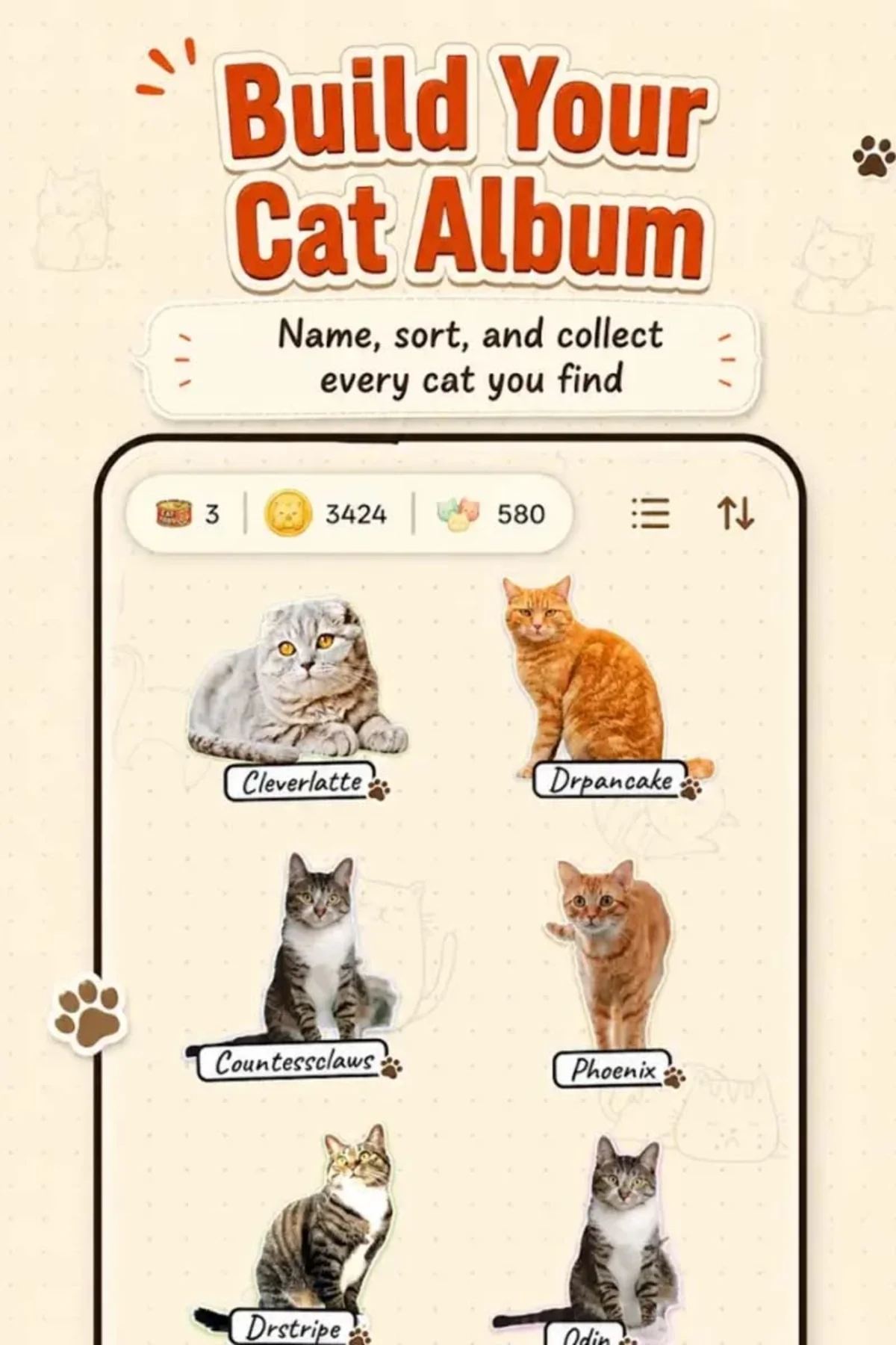 Qué medidas de privacidad utiliza CatchCat